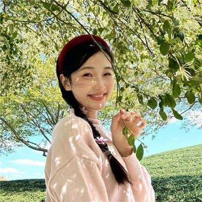 好莱坞芭比电影版